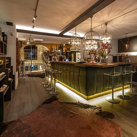 Hotell Loft Thaler *