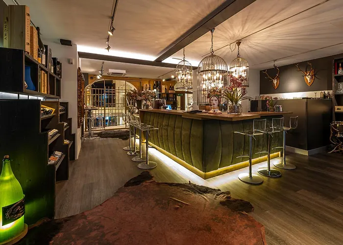 Hotell Loft Thaler *